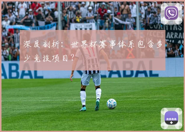 深度剖析：世界杯赛事体系包含多少竞技项目？