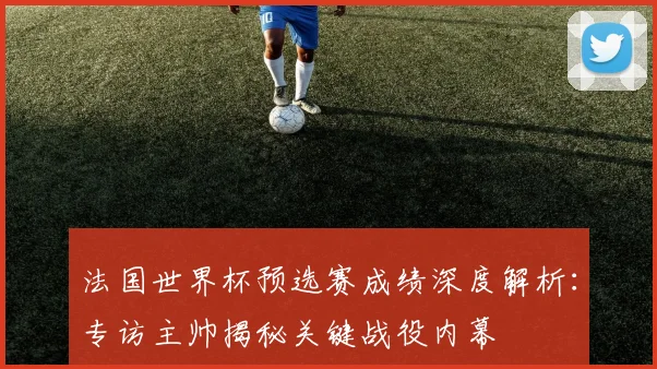 法国世界杯预选赛成绩深度解析:专访主帅揭秘关键战役内幕