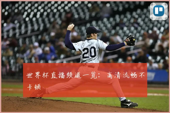 世界杯直播频道一览:高清流畅不卡顿