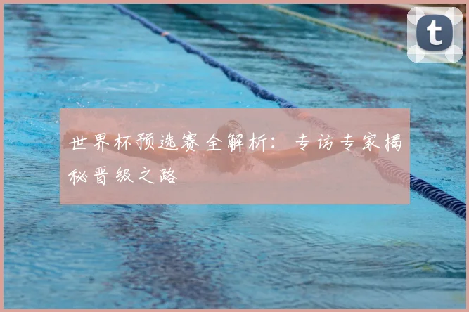 世界杯预选赛全解析：专访专家揭秘晋级之路