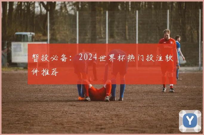 暂投必备：2024世界杯热门投注软件推荐
