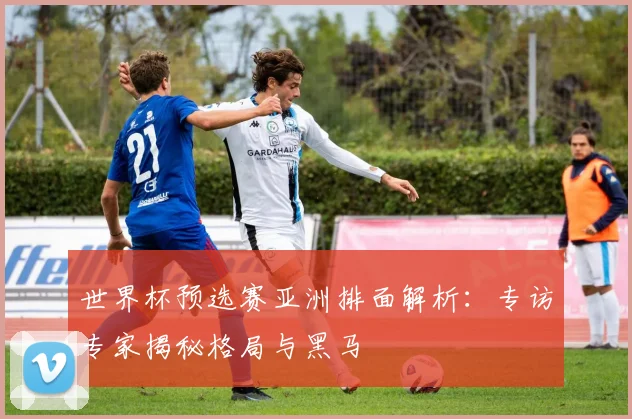 世界杯预选赛亚洲排面解析：专访专家揭秘格局与黑马