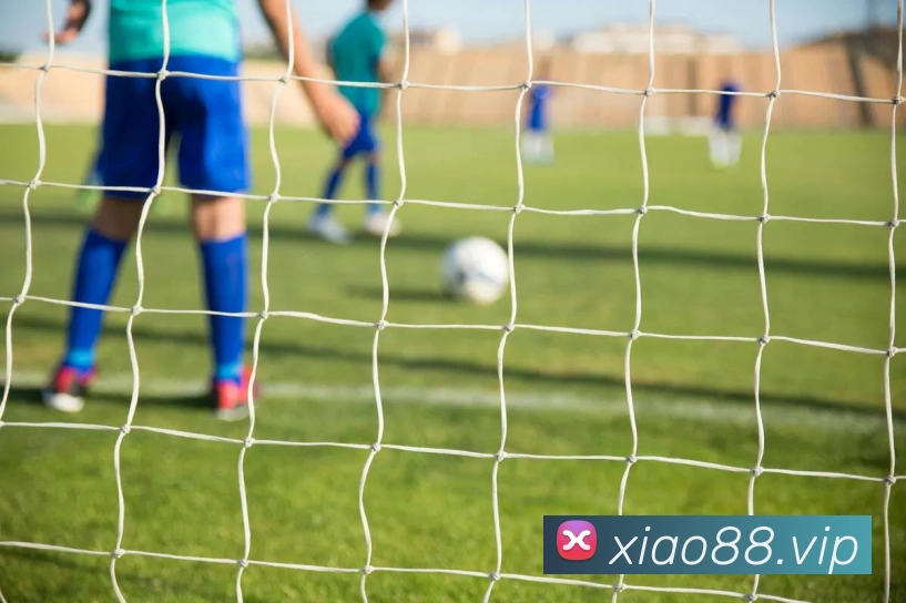 mksports官方网站登录入口APP 高清赛事图